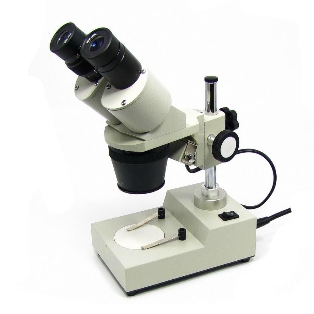 Бинокулярный микроскоп XTX-3B, с подсветкой, фокус 60-80 мм, кратность увеличения 20X/40X