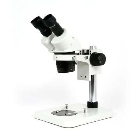ST60-24B1 - Бинокулярный микроскоп